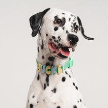 Charger l'image dans la galerie, Charms en silicone pour colliers ou laisses