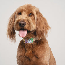 Charger l'image dans la galerie, Charms en silicone pour colliers ou laisses