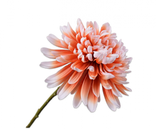 Charger l'image dans la galerie, Chrysanthème pêche 53cm