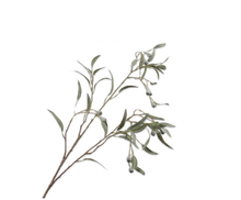 Charger l'image dans la galerie, Eucalyptus ramifié vert 86cm