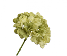 Charger l'image dans la galerie, Hortensia vert clair 48cm