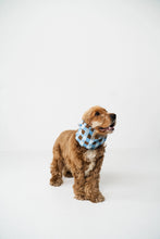 Charger l'image dans la galerie, Cache-oreilles pour chien - motif carreaux bleus (2 tailles)