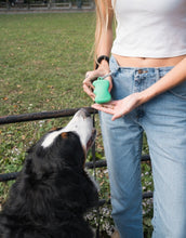 Charger l'image dans la galerie, Distributeur de friandises pour chien (plusieurs coloris)
