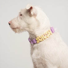 Charger l'image dans la galerie, Charms en silicone pour colliers ou laisses