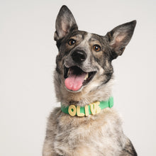 Charger l'image dans la galerie, Charms en silicone pour colliers ou laisses