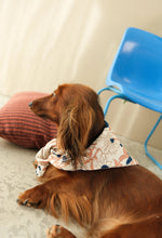 Charger l'image dans la galerie, Bandana pour chiens - Prusse