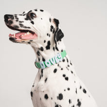 Charger l'image dans la galerie, Charms en silicone pour colliers ou laisses