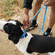 Charger l'image dans la galerie, Laisse étanche et réglable (plusieurs coloris)