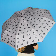 Charger l'image dans la galerie, Parapluie Teckel arlequin