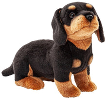 Charger l'image dans la galerie, Teckel réaliste en peluche - 27cm