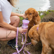 Charger l'image dans la galerie, Laisse étanche et réglable (plusieurs coloris)