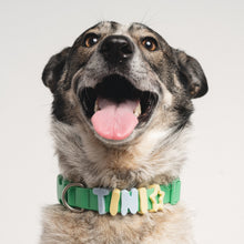 Charger l'image dans la galerie, Charms en silicone pour colliers ou laisses