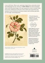 Charger l'image dans la galerie, Puzzle 1000 pièces : Garden rose