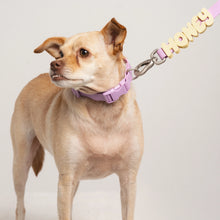 Charger l'image dans la galerie, Laisse étanche et réglable (plusieurs coloris)