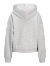 Charger l'image dans la galerie, Sweat à capuche - Gris