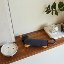 Charger l'image dans la galerie, parapluie, teckel, balvi, umbrela, green, terra, tournai, lille, mons, courtrai
