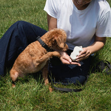 Charger l'image dans la galerie, Distributeur de friandises pour chien (plusieurs coloris)
