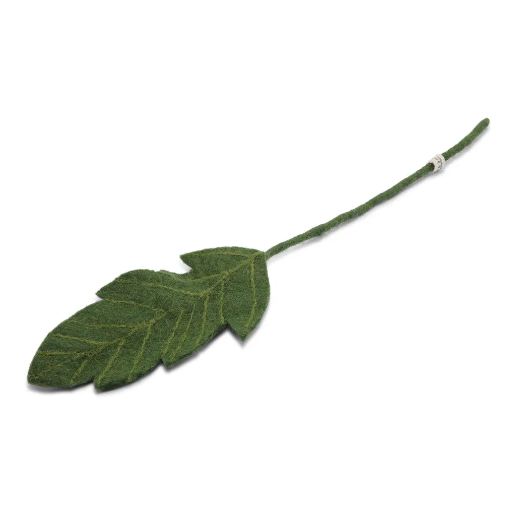 Dark green big leaf