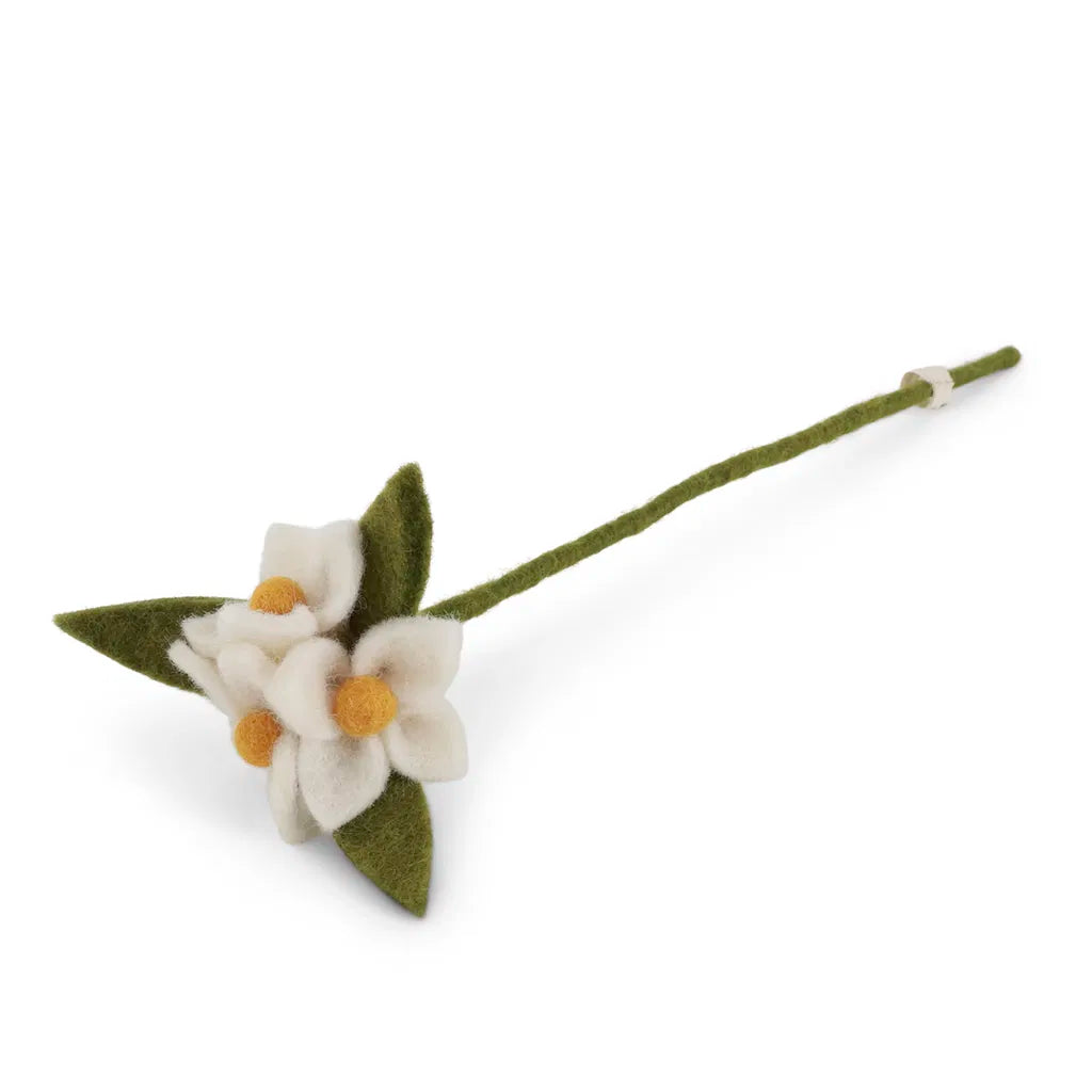 White flowers on branch