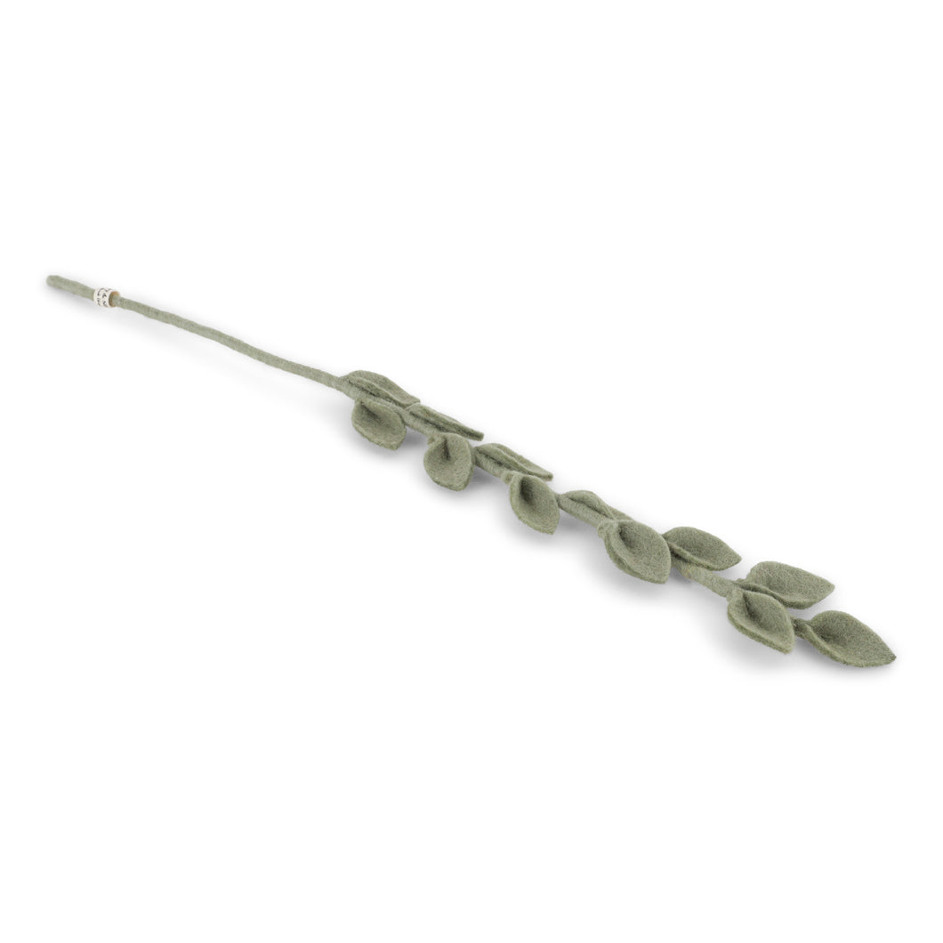 Eucalyptus branch