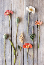 Charger l&#39;image dans la galerie, Poppy flower - Raspberry
