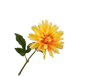 Dahlia jaune 59cm