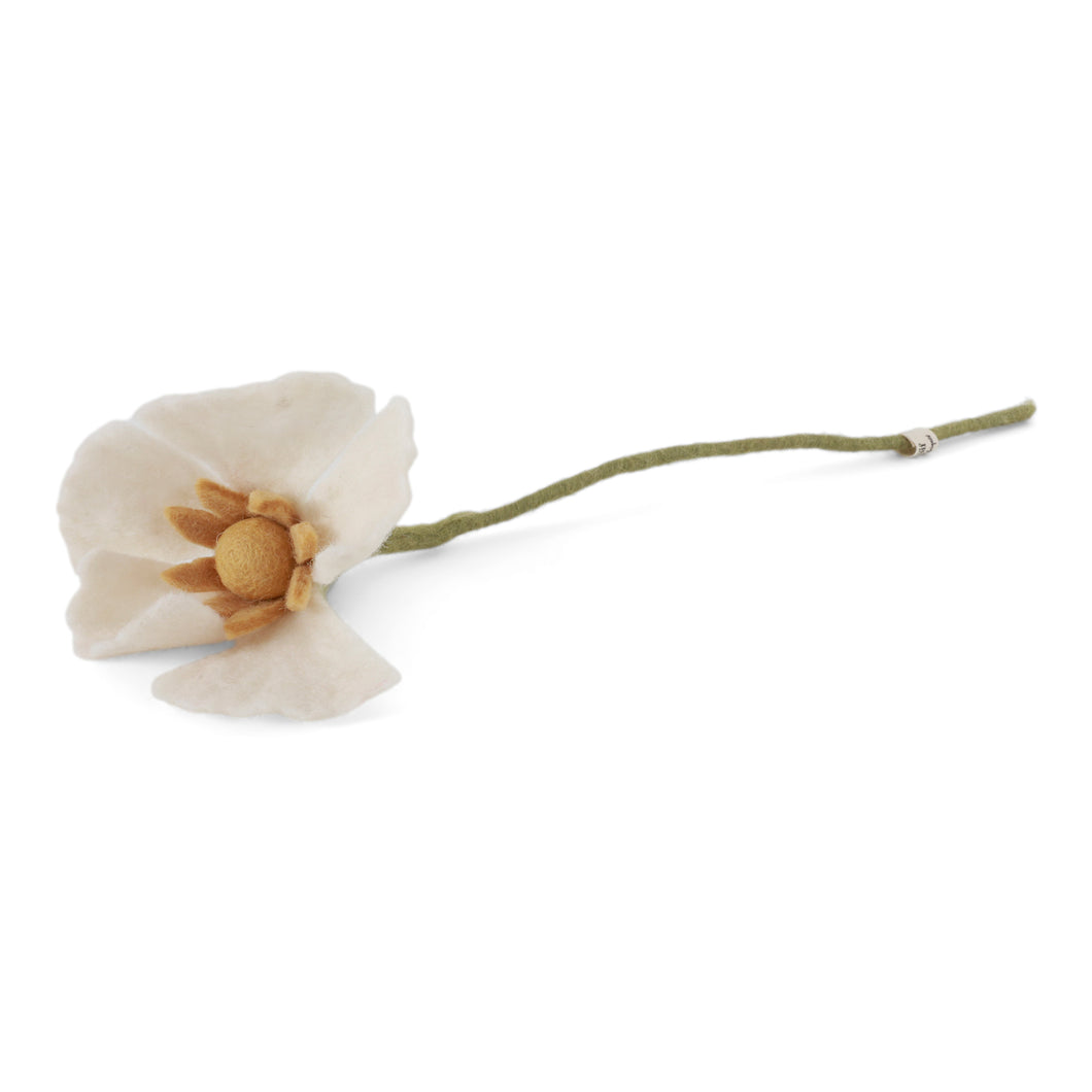 Poppy flower - White