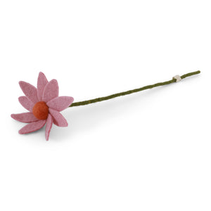 Cosmos flower - Light pink