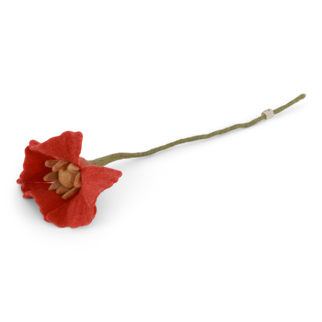 Poppy flower - Coral