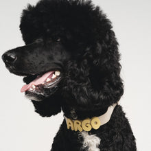 Charger l'image dans la galerie, Charms en silicone pour colliers ou laisses
