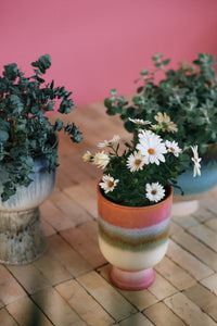 pot, plante, cache-pot, hkliving, céramique