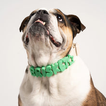 Charger l'image dans la galerie, Charms en silicone pour colliers ou laisses
