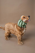 Charger l'image dans la galerie, Cache-oreilles pour chien - motif rayures vertes (2 tailles)
