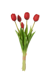 Tulipes par 5  : Rouge