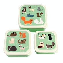 Charger l&#39;image dans la galerie, Lot de 3 lunch box chats
