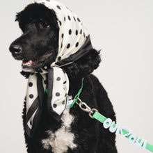 Charger l'image dans la galerie, Charms en silicone pour colliers ou laisses
