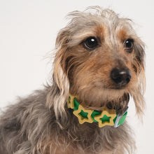 Charger l'image dans la galerie, Charms en silicone pour colliers ou laisses
