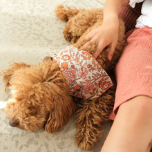 Charger l'image dans la galerie, Bandana pour chiens - Brique
