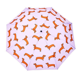 Parapluie Teckel