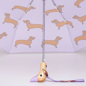 Parapluie Teckel