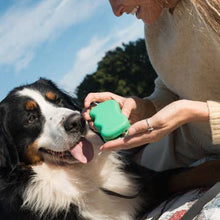 Charger l'image dans la galerie, Distributeur de friandises pour chien (plusieurs coloris)
