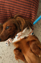 Charger l'image dans la galerie, Bandana pour chiens - Prusse
