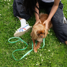 Charger l'image dans la galerie, Laisse étanche et réglable (plusieurs coloris)
