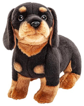 Charger l'image dans la galerie, Teckel réaliste en peluche - 27cm
