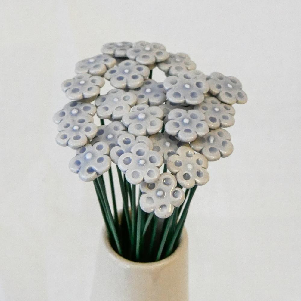 Fleur Myosotis bleu clair