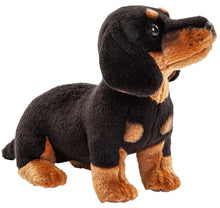 Charger l'image dans la galerie, Teckel réaliste en peluche - 27cm
