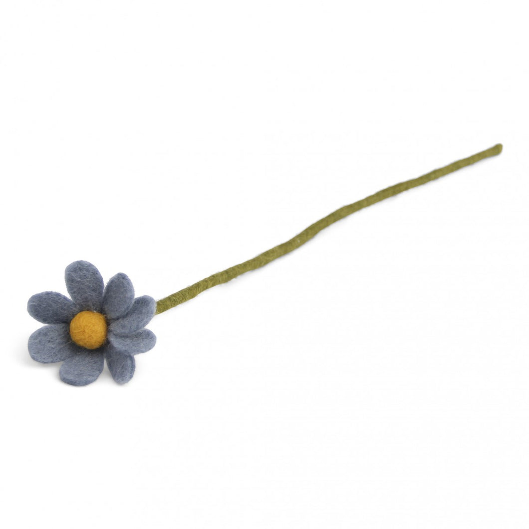 Anemone sea blue