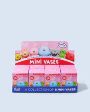 Charger l'image dans la galerie, Surprise Box Animaux
