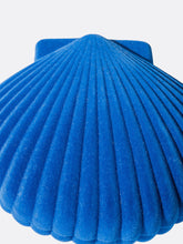 Charger l&#39;image dans la galerie, boite-bijoux-coquillage-venus-shell-doiy
