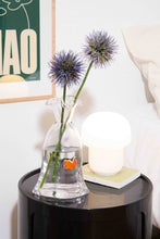 Charger l'image dans la galerie, vase, goldfish, poisson, DOIY, green, terra, déco, maison, tournai, lille, mons, courtrai
